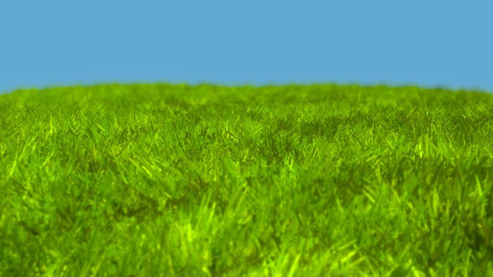 Realistic grass – Gratis 3D-model STL