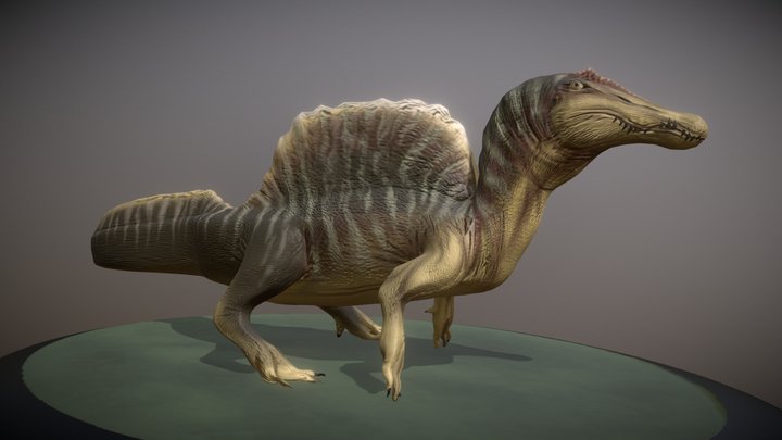 Spinosaurus 3D Model