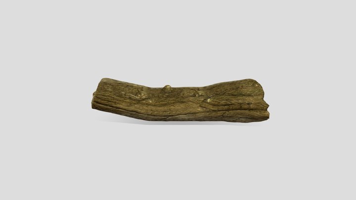wood log