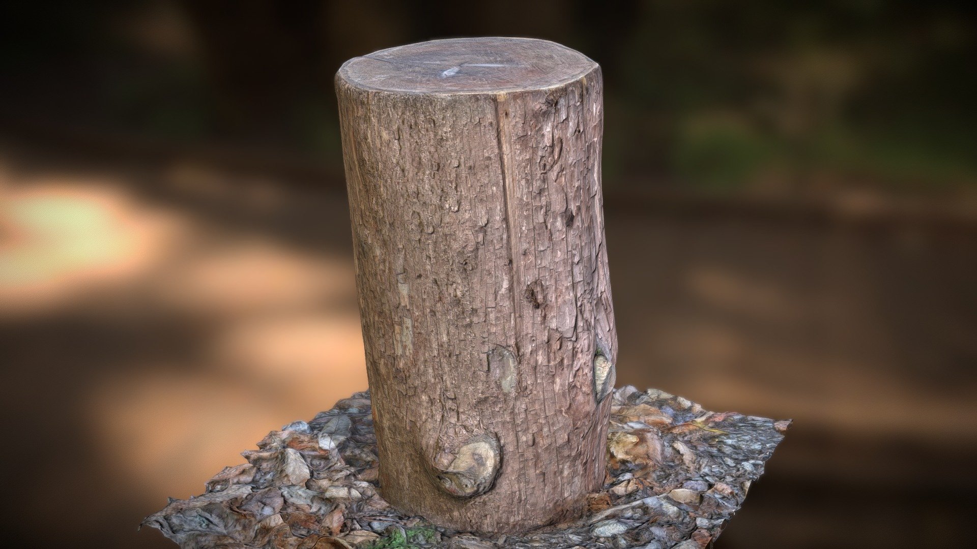 Log