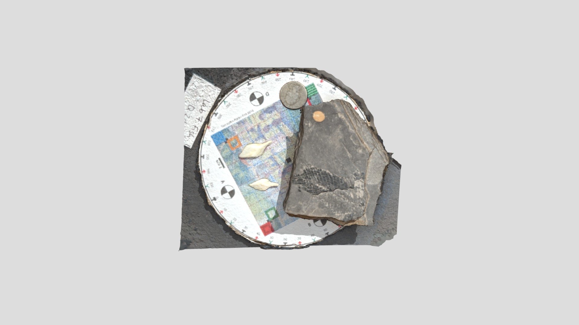 Fossil and Modern Garfish Scales