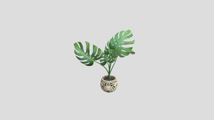 uploads_files_2221913_home+flower_FBX 3D Model