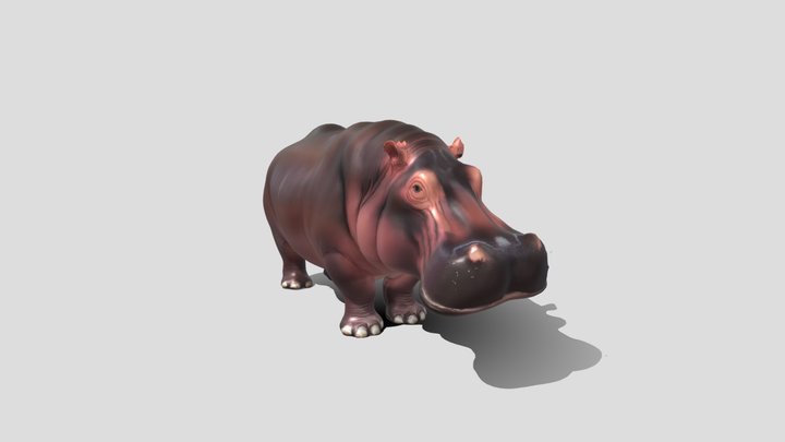 Midnight Hippo 3D Model