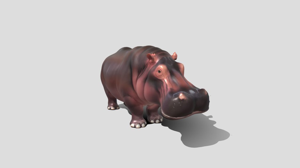 Midnight Hippo