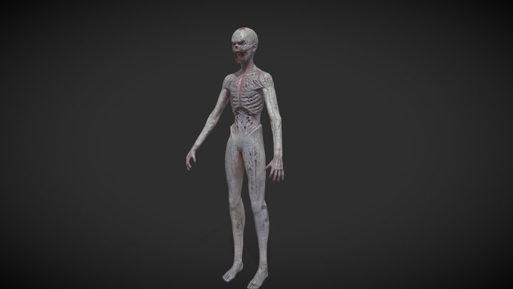 Cadaver 3D Model