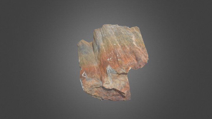 Shatter cone in quartzite, Sudbury basin 3D Model