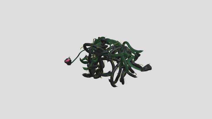 Medusa 3D Model