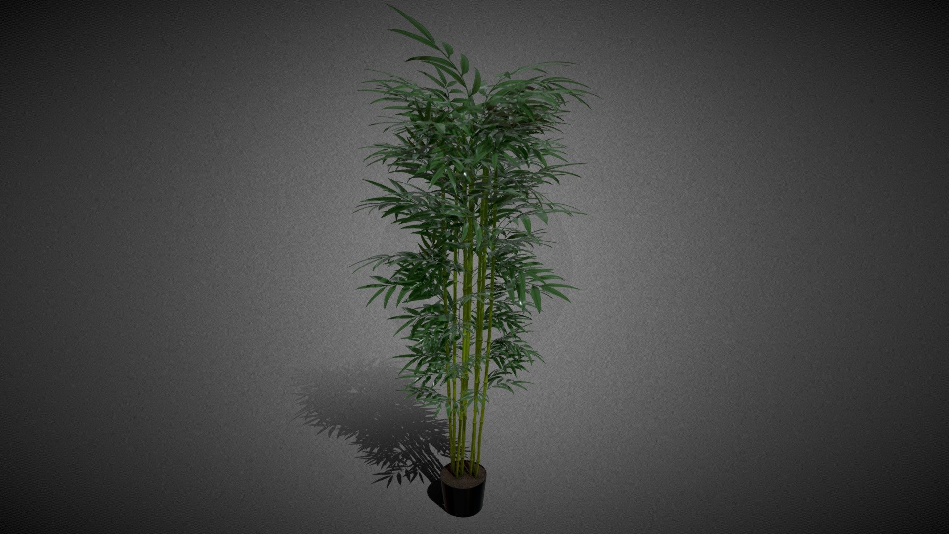 Bamboo Tree Buy Royalty Free 3D model by Sunny (sunny7610) [ba189c5