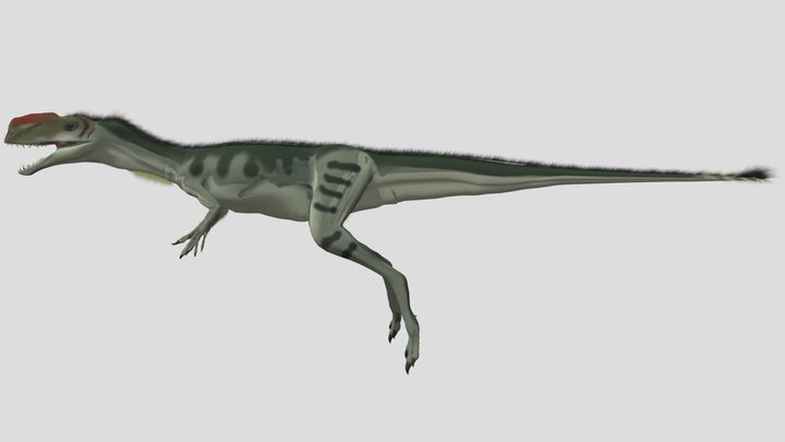 Proceratosaurus 3D Model