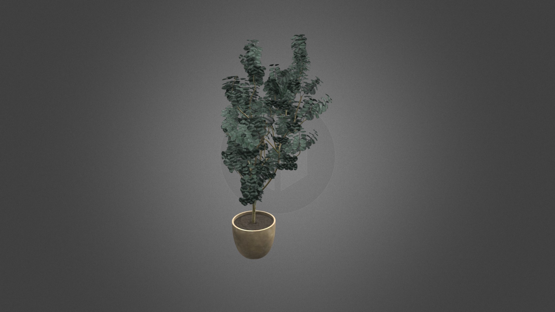 3D model Potted Tree - This is a 3D model of the Potted Tree. The 3D model is about a small tree in a pot.