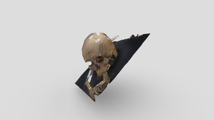 Prueba de Laboratorio 3D Model