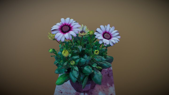 Flowers – Free 3D Model STL