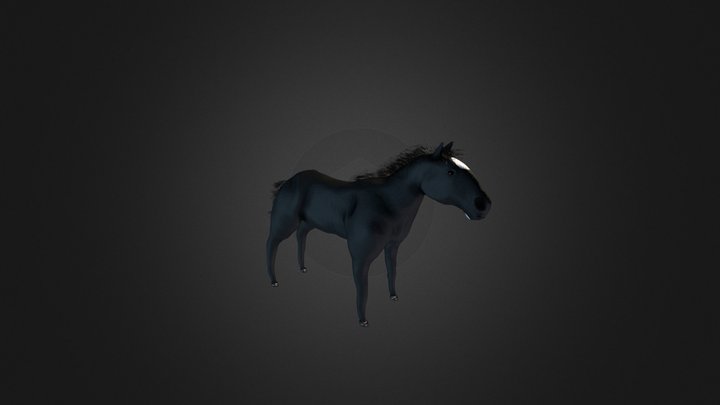 Hest 3D Model