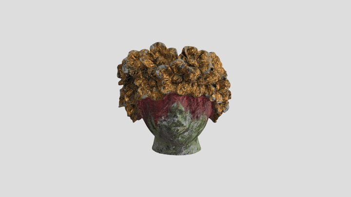 Flower Head 3D Model