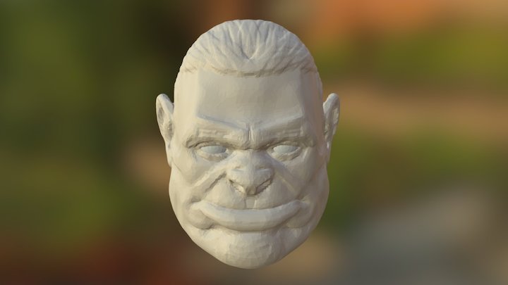 Head 3D Model