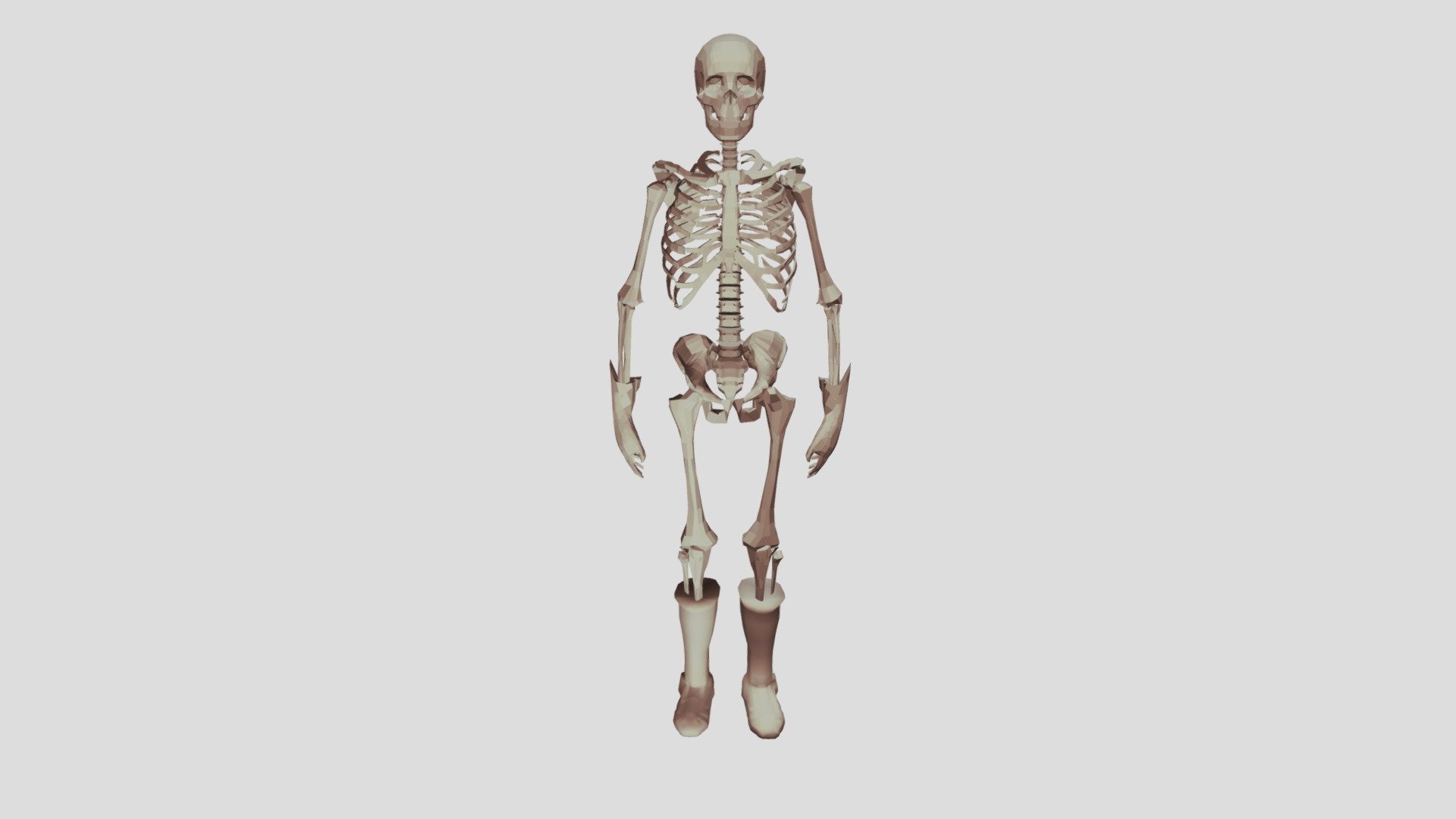 ArtStation - 3D Human Skeleton