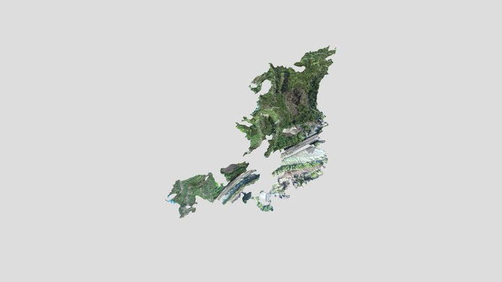 CAVA_simplified_3d_mesh 3D Model