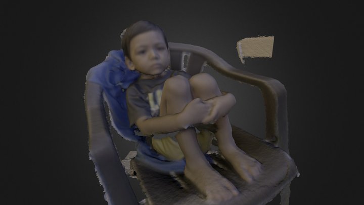 3d Scan by Printmein3d 3D Model