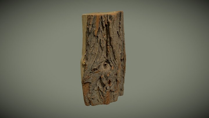 wood trunk 3D Model