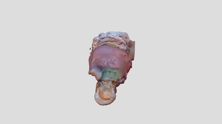 superficie muñeca reconstruida apartir de puntos 3D Model
