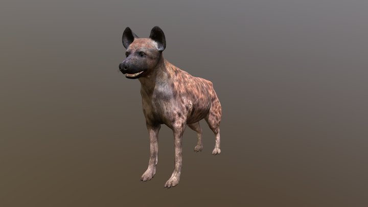 Hyena – Modello 3D gratuito STL
