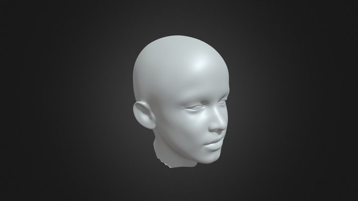 Head model of a child 3D Model