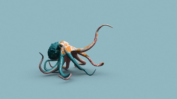 Sea Creature - Octopus 3D Model