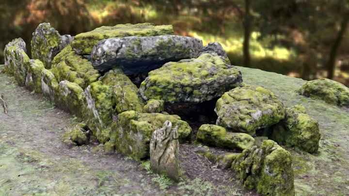Lough Gur Wedge