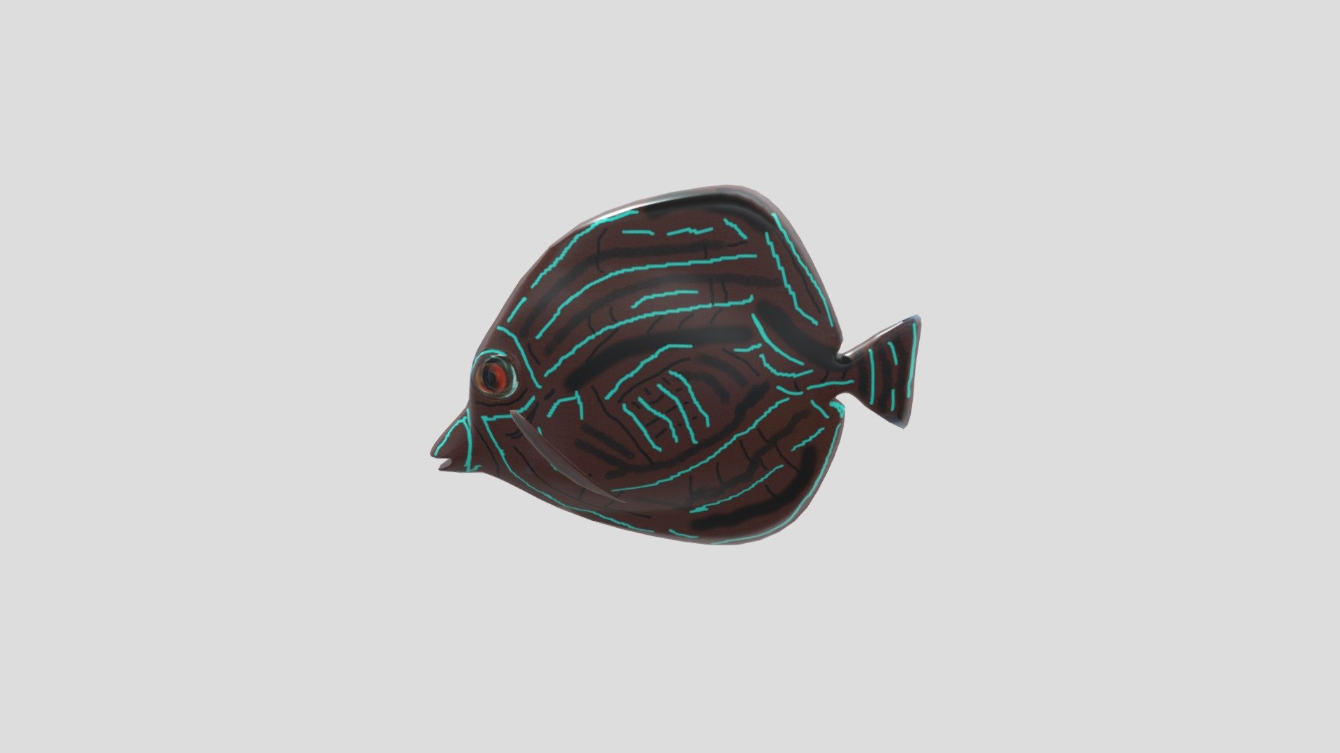 SeltmannFish