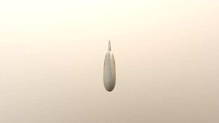 skeletest 3D Model
