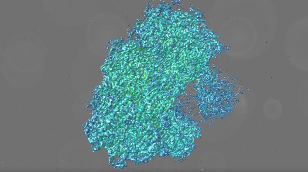 80S Ribosome (EMD-2660) - 3D model by Interactive 3D Data ...