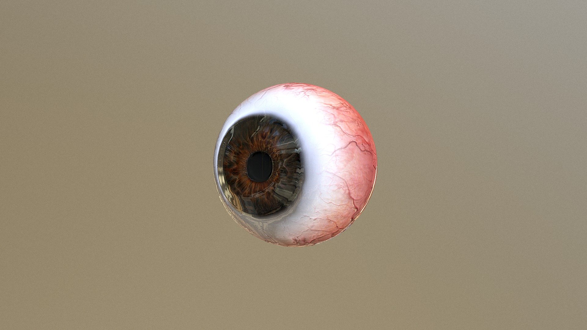 Eye T Est - 3D model by skantron [ba55803] - Sketchfab