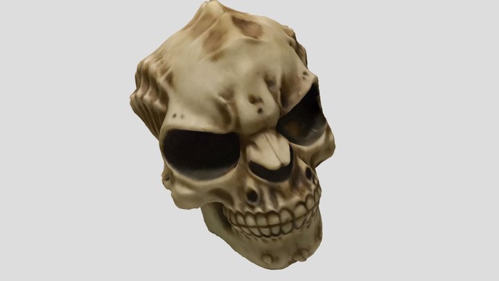 Alien 💀 skull 3D Model