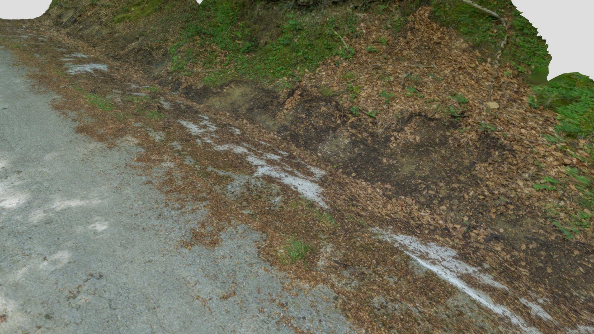 forest road ditch - Download Free 3D model by yelizegi - PUNTTULANBRO ...
