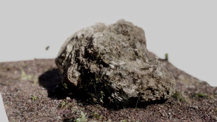 Volcanic Rock Photogrametry 3D Model