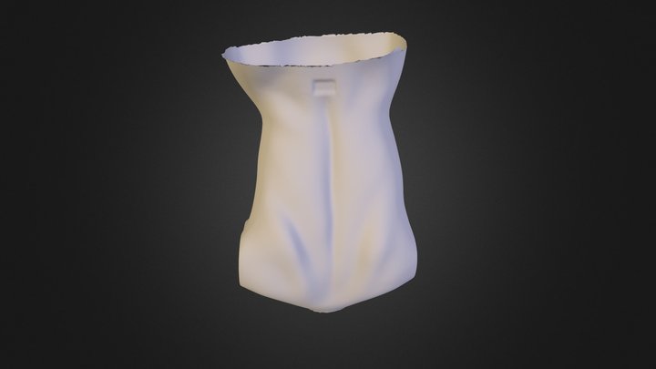 final 3D Model