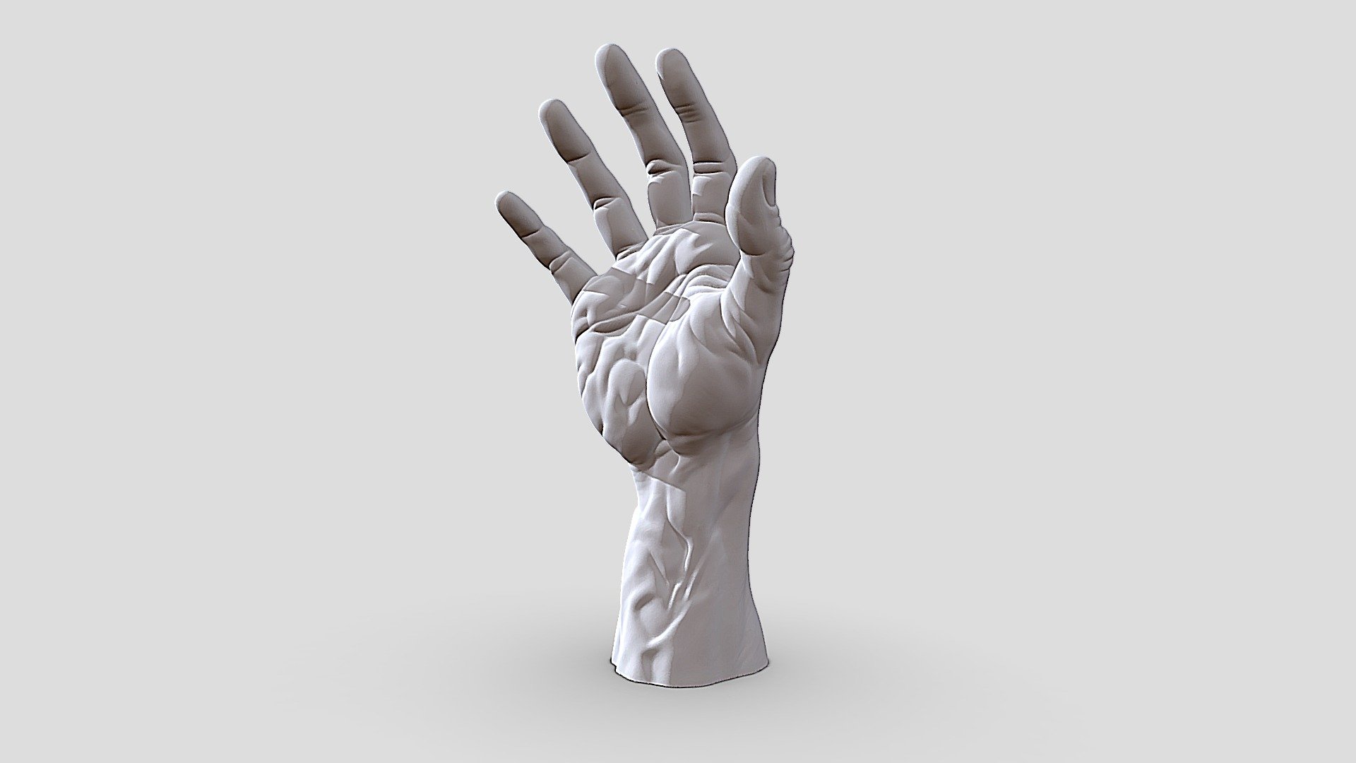 Detailed Hand - Download Free 3D model by leofinearts [ba5e563] - Sketchfab