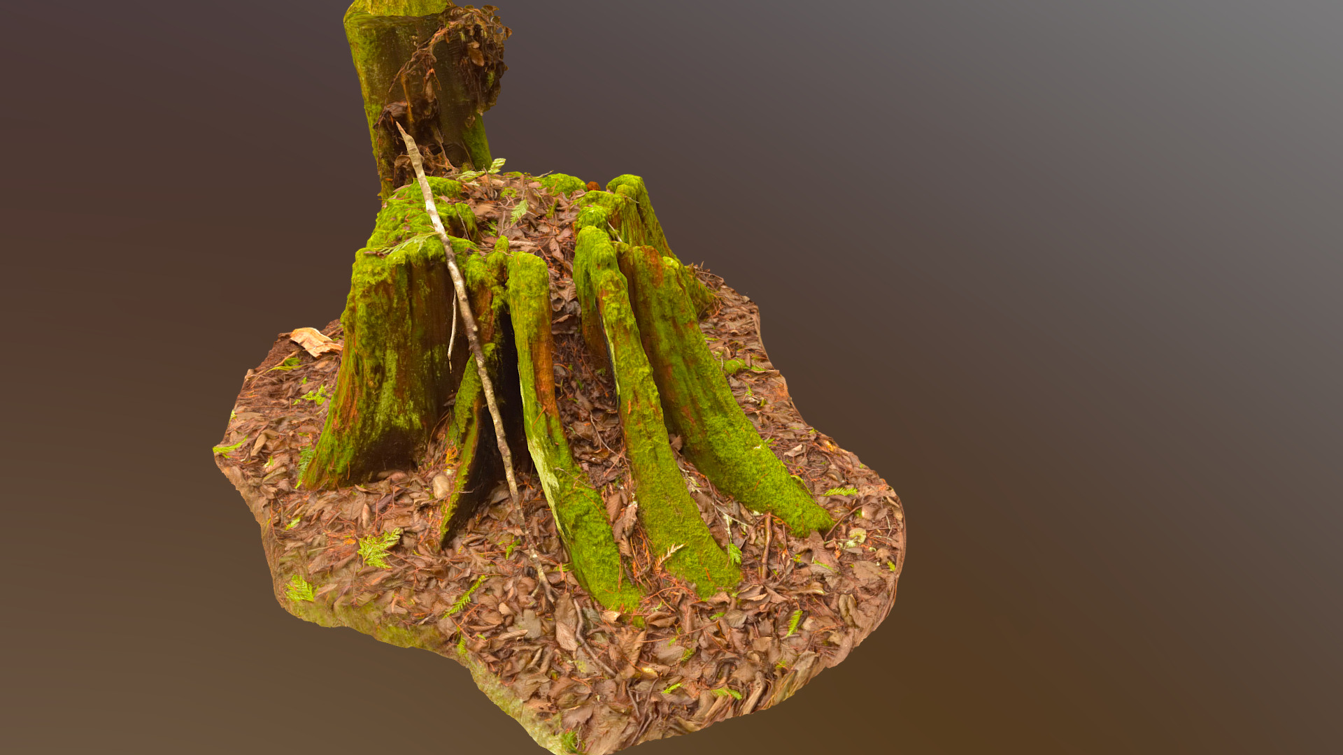 3D model Mossy Stump 6 - This is a 3D model of the Mossy Stump 6. The 3D model is about a close-up of a green plant.