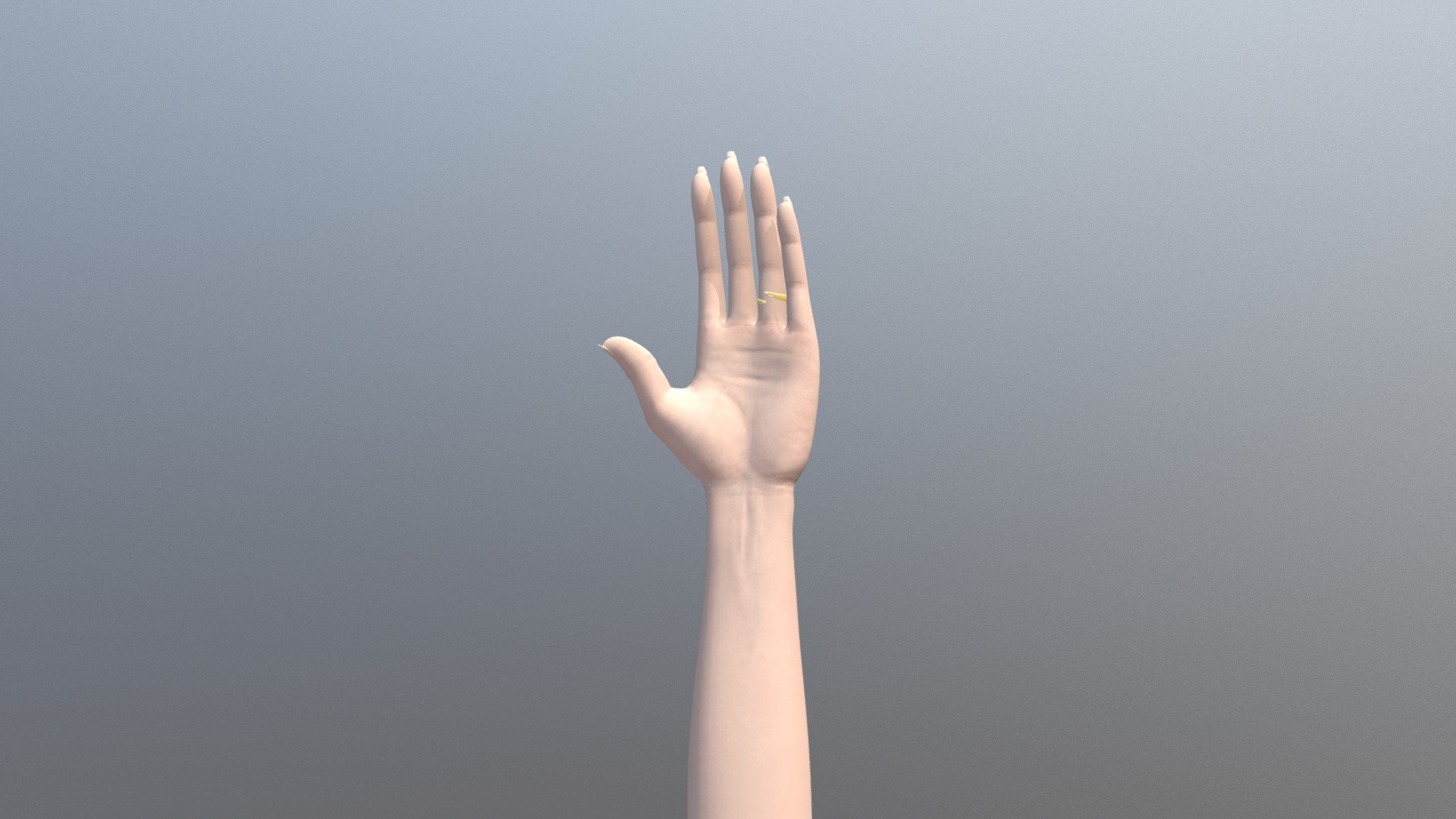 3D Modelling Study - Female Hand