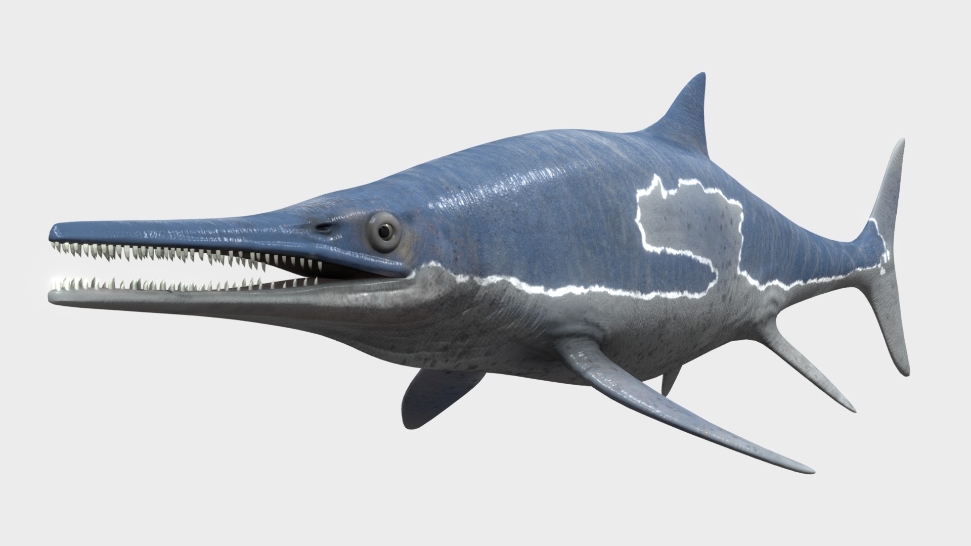 3D model Ichthyosaurs - This is a 3D model of the Ichthyosaurs. The 3D model is about a blue fish with a white background.