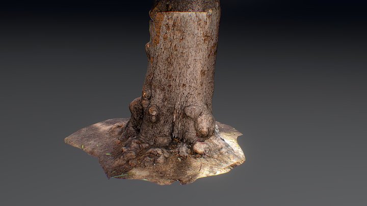 Tree photo reconstruction. – Modelo 3D gratuito STL