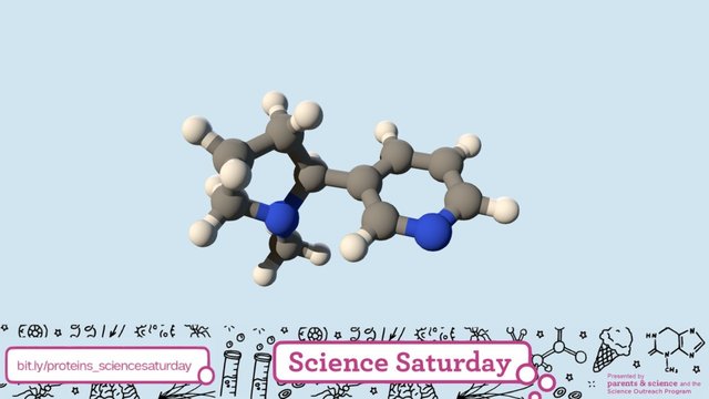 Small Molecule | Nicotine | PubChem CID 89594 3D Model