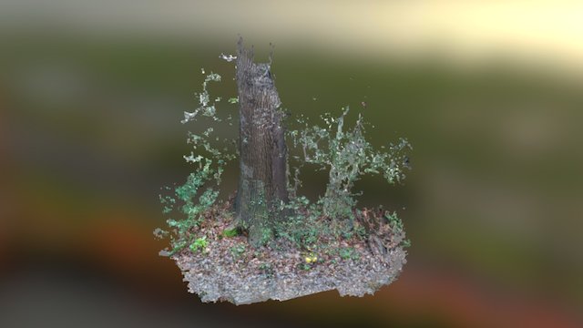 January Tree 3D Model