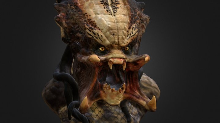 Predator Texturing Assignment 3D Model