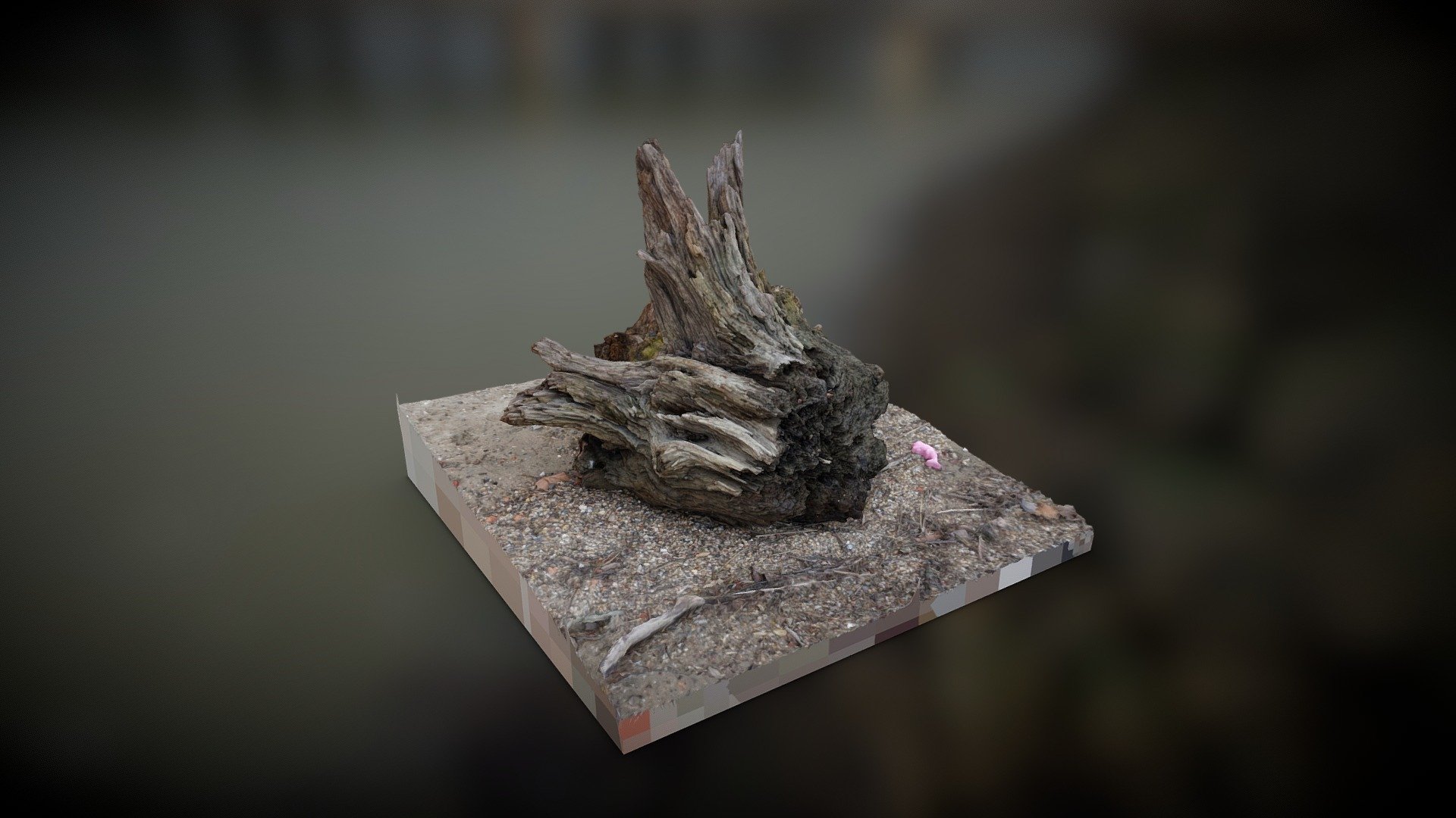 3D Scanned Tree Trunk - Download Free 3D model by hibari_solutions ...
