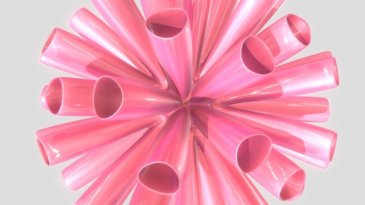 anemone 3D Model