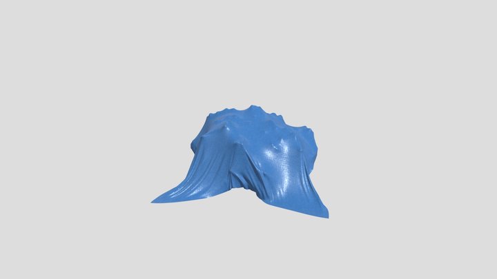 Tarp cloth 3D Model