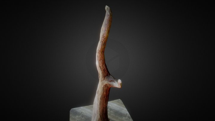 Tree - Leafless Dry 3D Model
