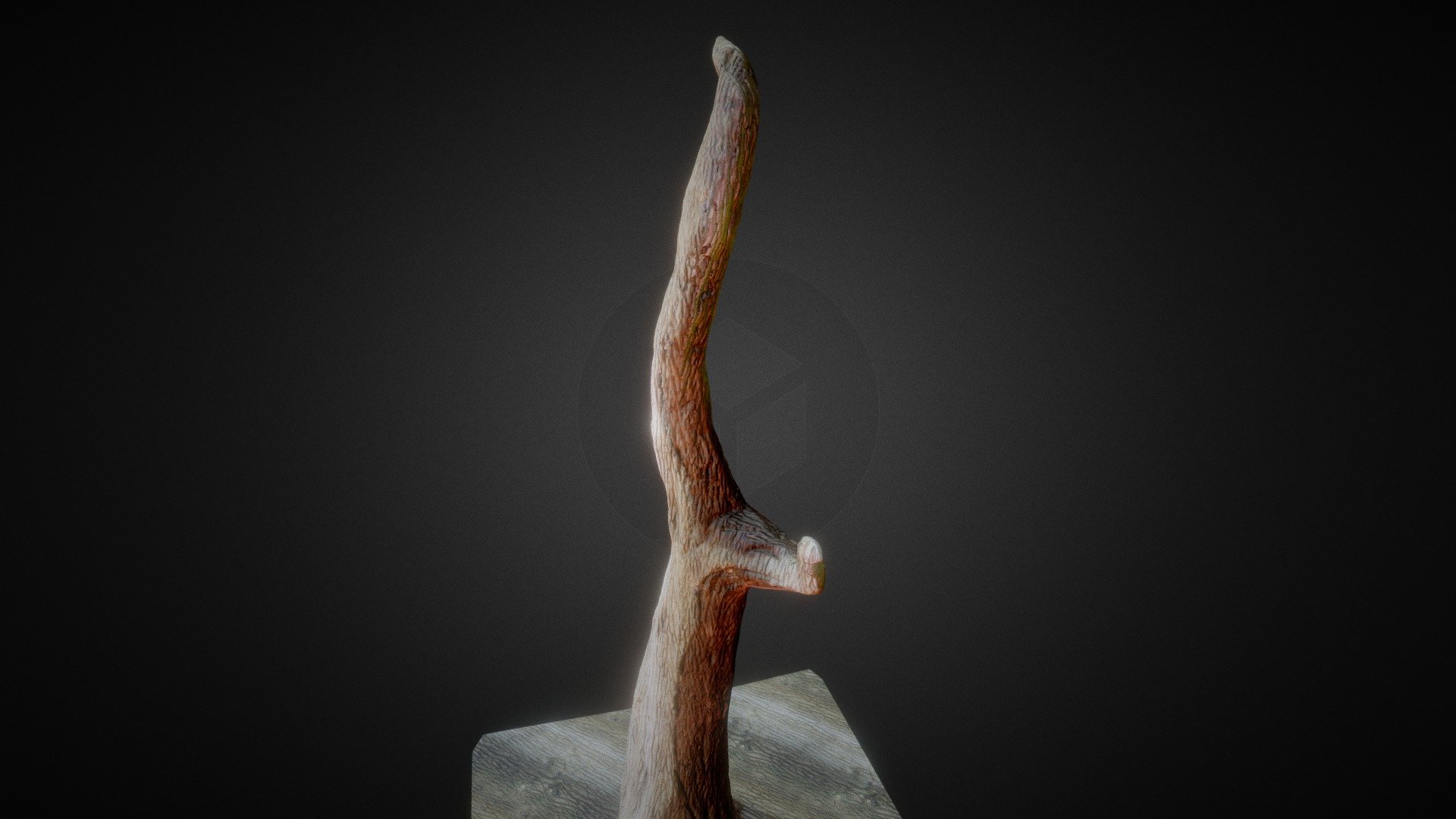 Tree - Leafless Dry - Download Free 3D model by Schmitty (@schmitty276 ...