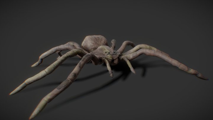 Spider with Animation 3D Model
